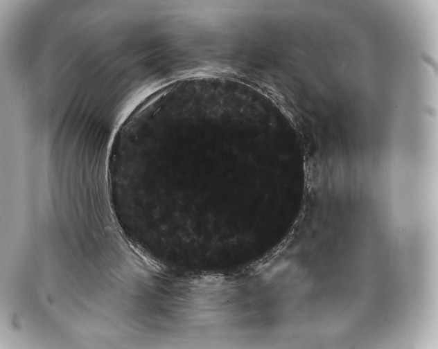 X0000097950196200804211045