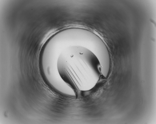 X0000097950199200804211045