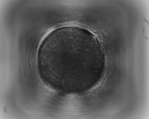 X0000097950200200804211045