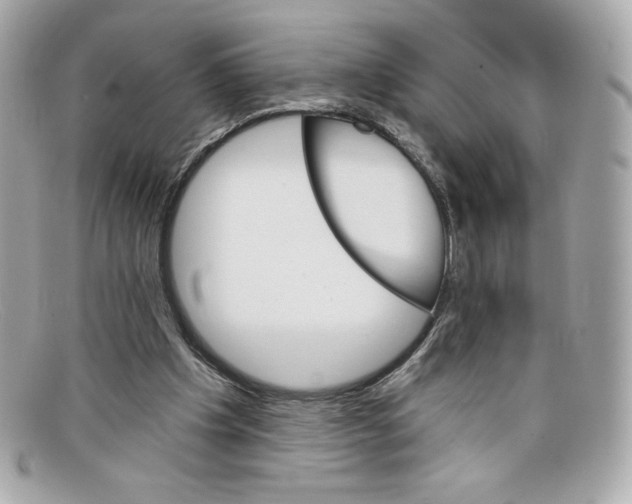 X0000097950201200804211045