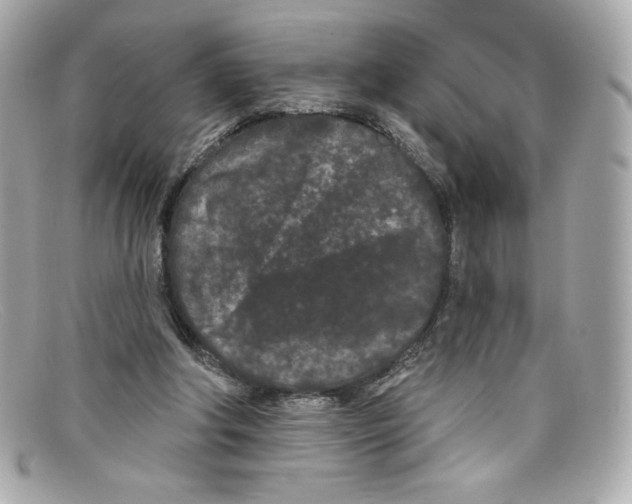 X0000097950202200804211045