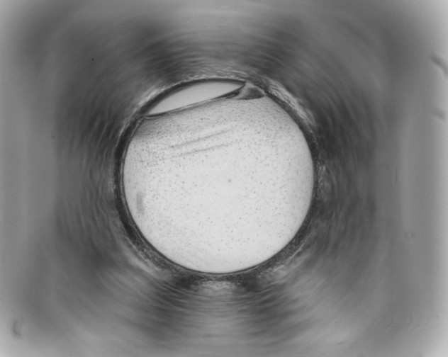 X0000097950203200804211045