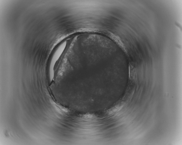 X0000097950204200804211045