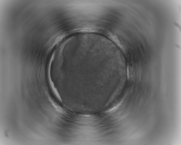 X0000097950205200804211045