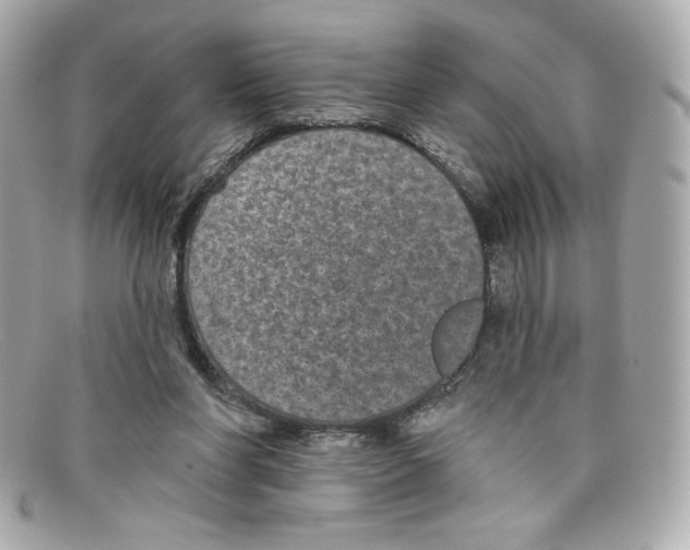 X0000097950206200804211045