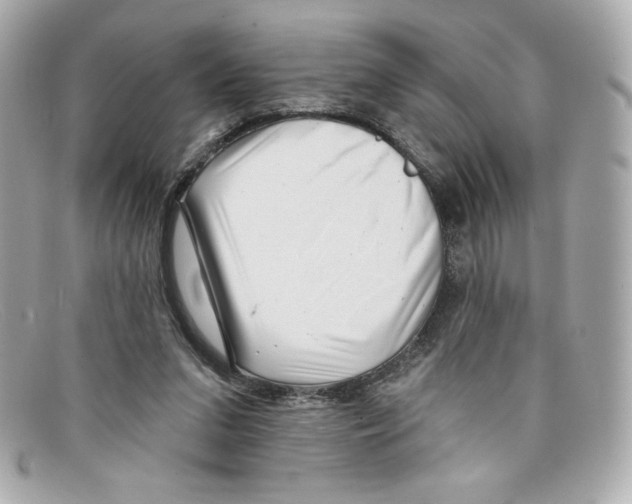 X0000097950207200804211045