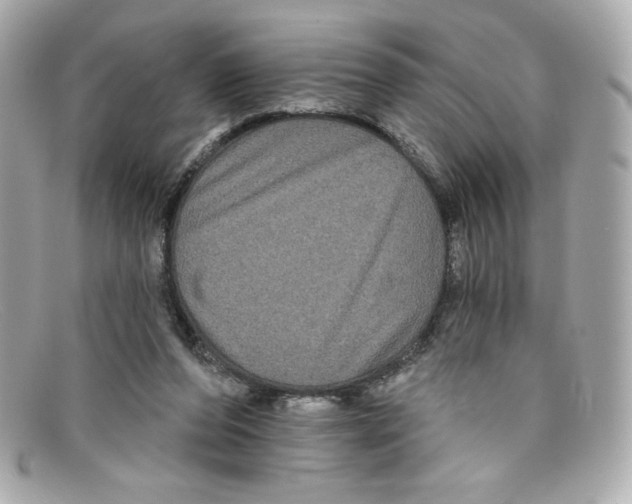 X0000097950208200804211045