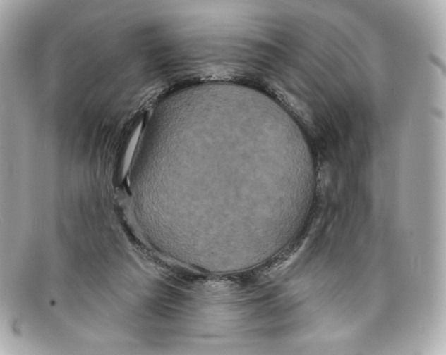 X0000097950209200804211045