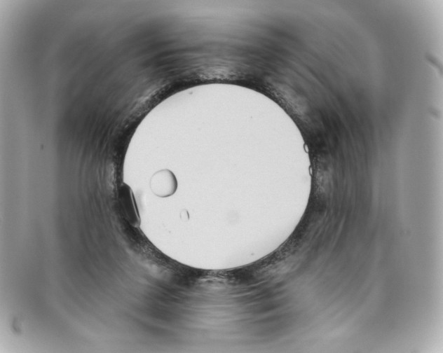 X0000097950211200804211045