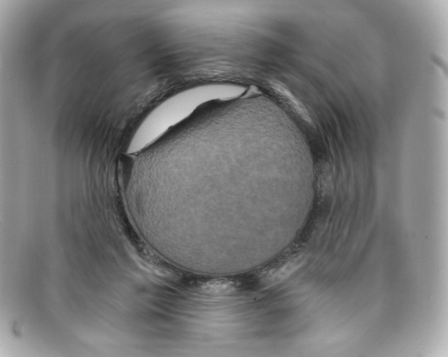 X0000097950213200804211045