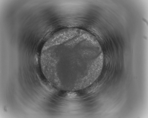 X0000097950214200804211045
