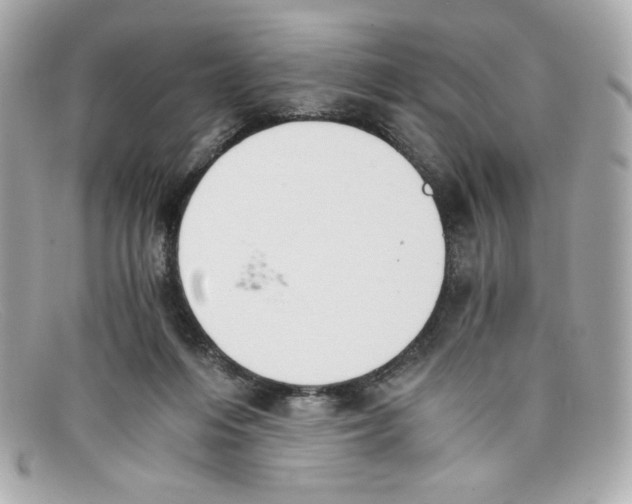 X0000097950216200804211045