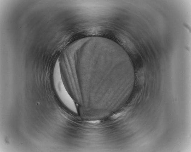 X0000097950217200804211045