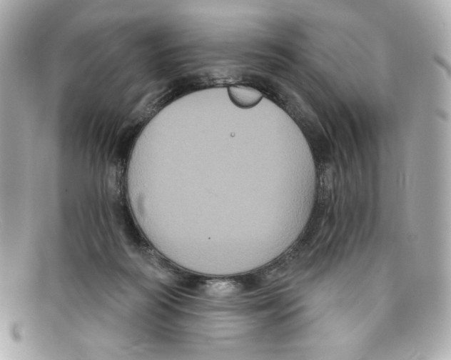 X0000097950218200804211044