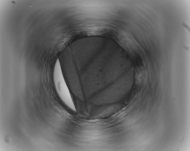 X0000097950219200804211044