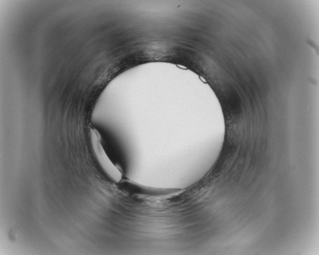 X0000097950221200804211044