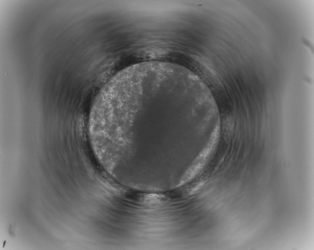 X0000097950222200804211044