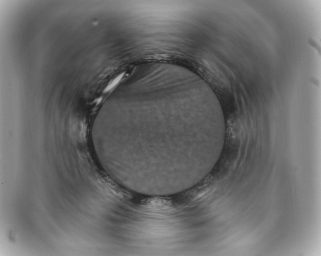 X0000097950223200804211044