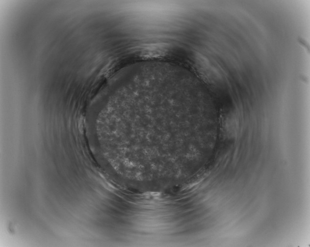 X0000097950227200804211044