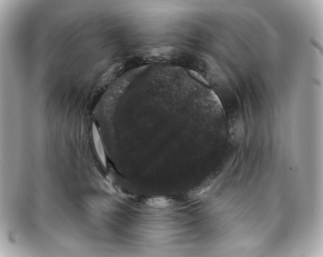 X0000097950231200804211044