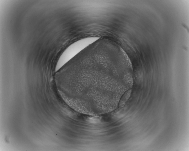 X0000097950232200804211044