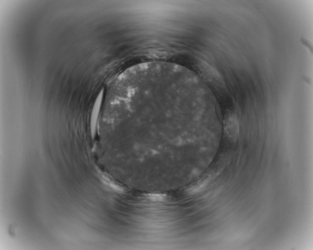 X0000097950233200804211044