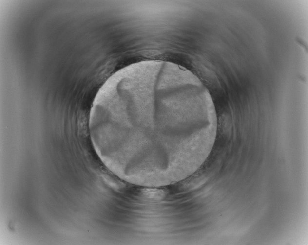 X0000097950234200804211044