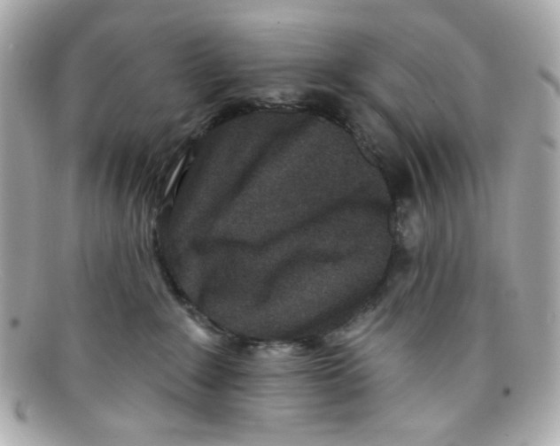 X0000097950235200804211044