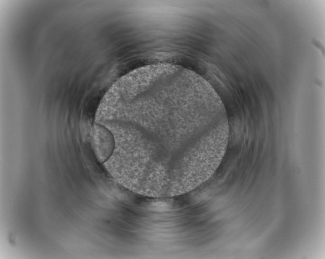 X0000097950236200804211044