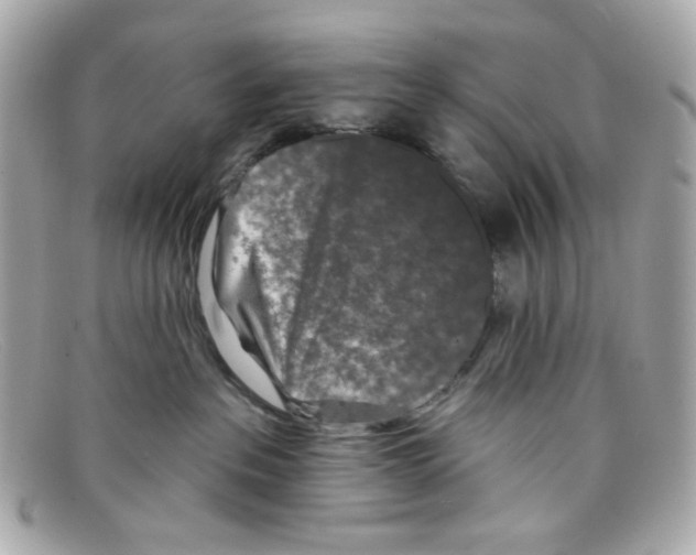 X0000097950237200804211044