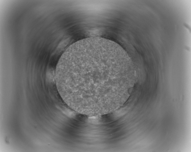 X0000097950240200804211044