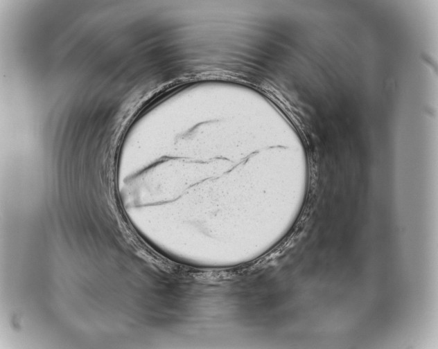 X0000097950241200804211043