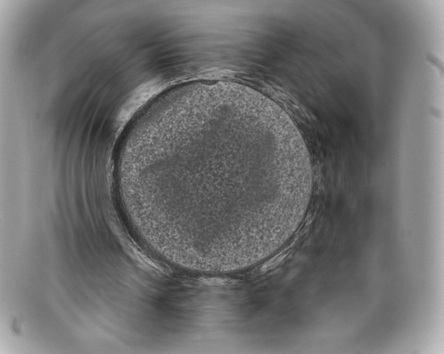 X0000097950242200804211043