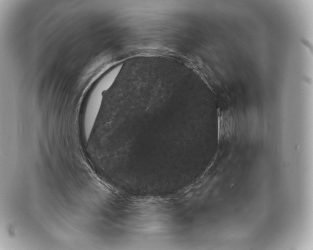 X0000097950243200804211043