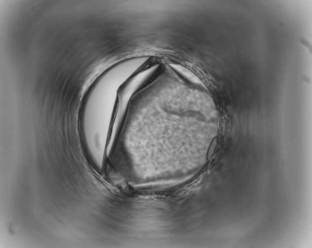 X0000097950244200804211043