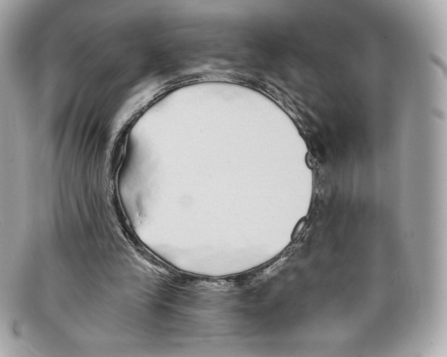X0000097950245200804211043