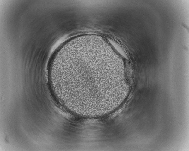 X0000097950246200804211043