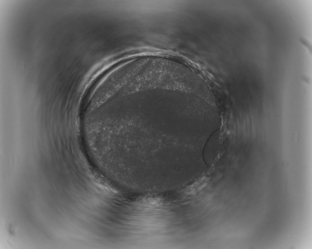 X0000097950247200804211043