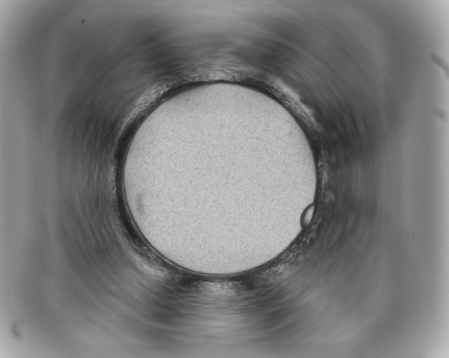 X0000097950250200804211043