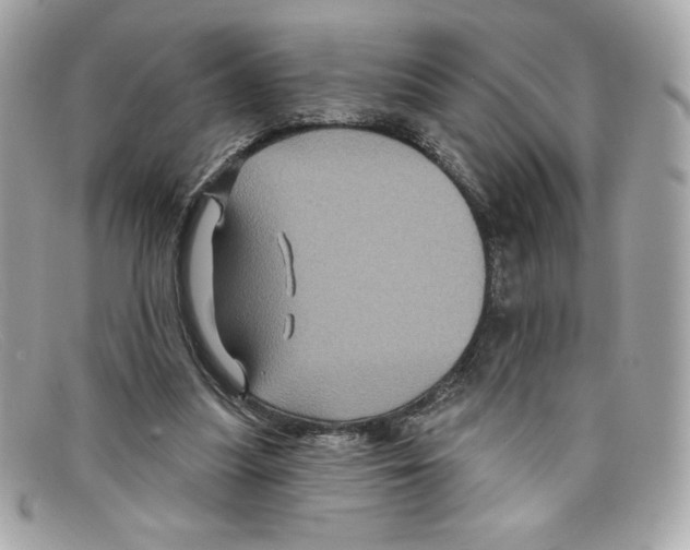 X0000097950251200804211043
