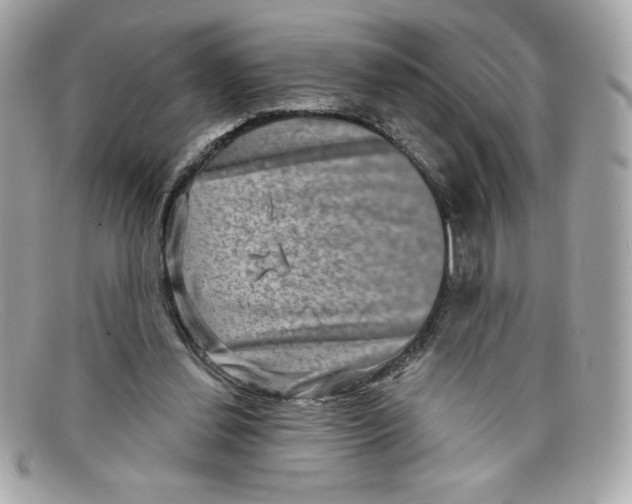 X0000097950252200804211043