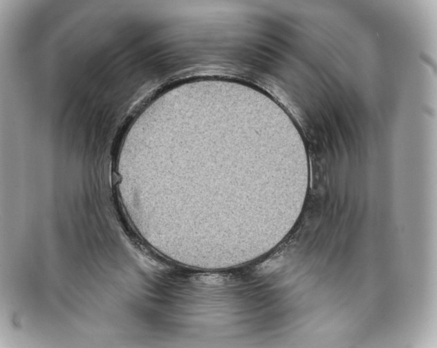 X0000097950253200804211043