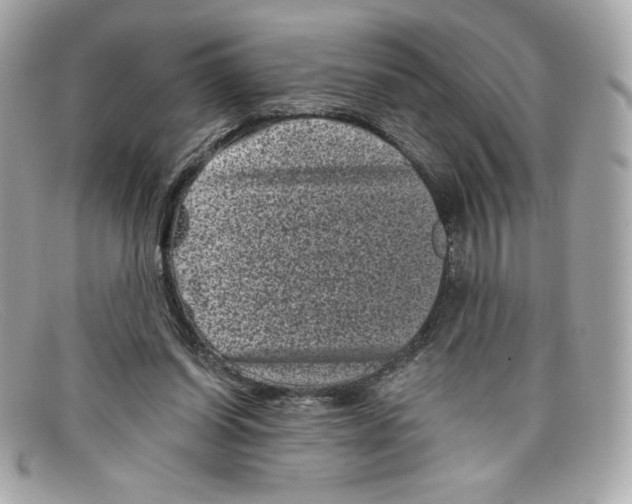 X0000097950254200804211043