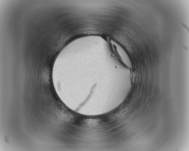 X0000097950255200804211043