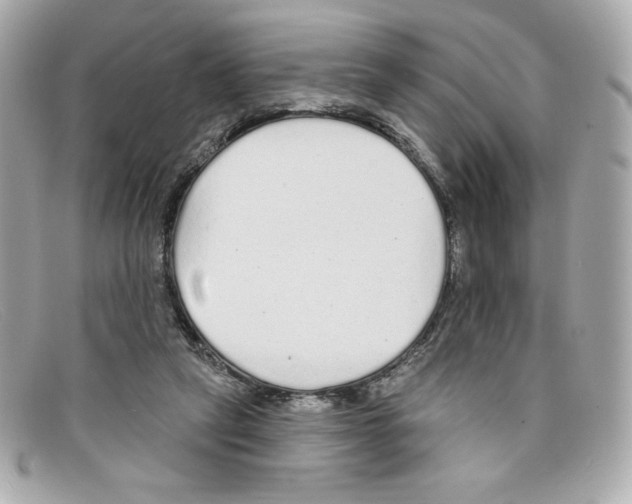 X0000097950257200804211044