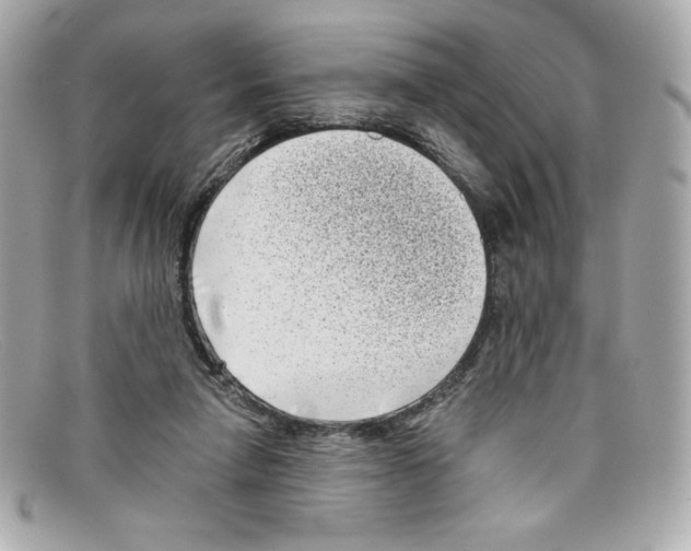 X0000097950258200804211044