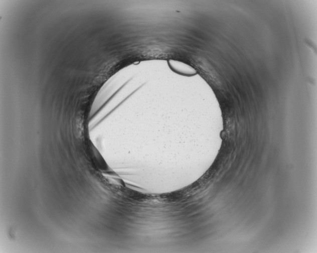 X0000097950259200804211044