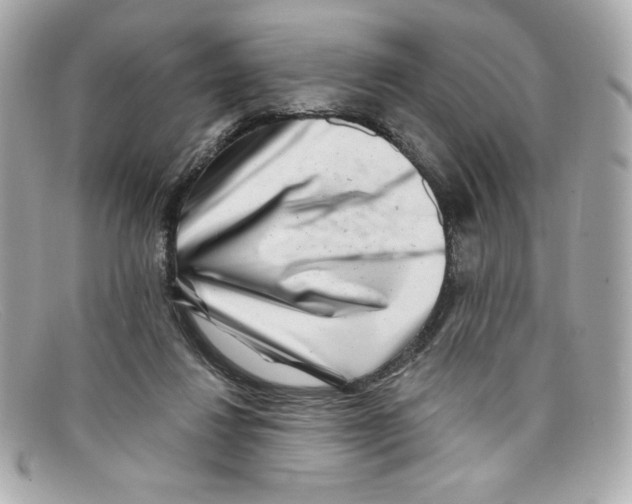 X0000097950260200804211044