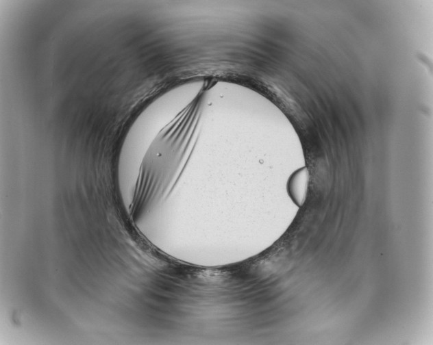 X0000097950261200804211044