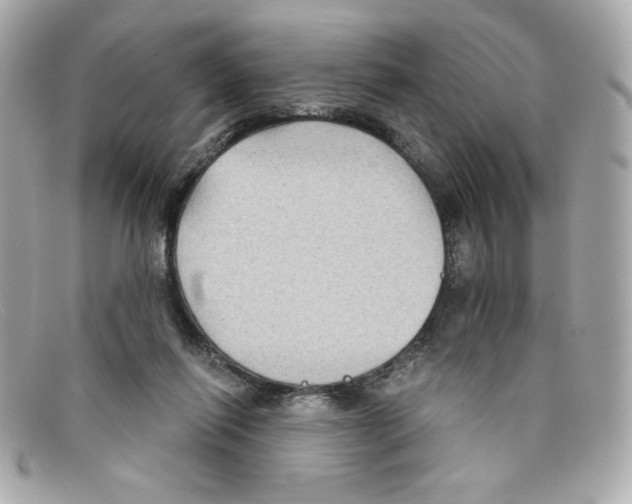 X0000097950262200804211044